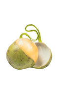 Bolsa de tela de Guinep (Kenèp, Quenepa y Chenette)