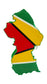 Guyana Flag Thigh Bag & Wristlet