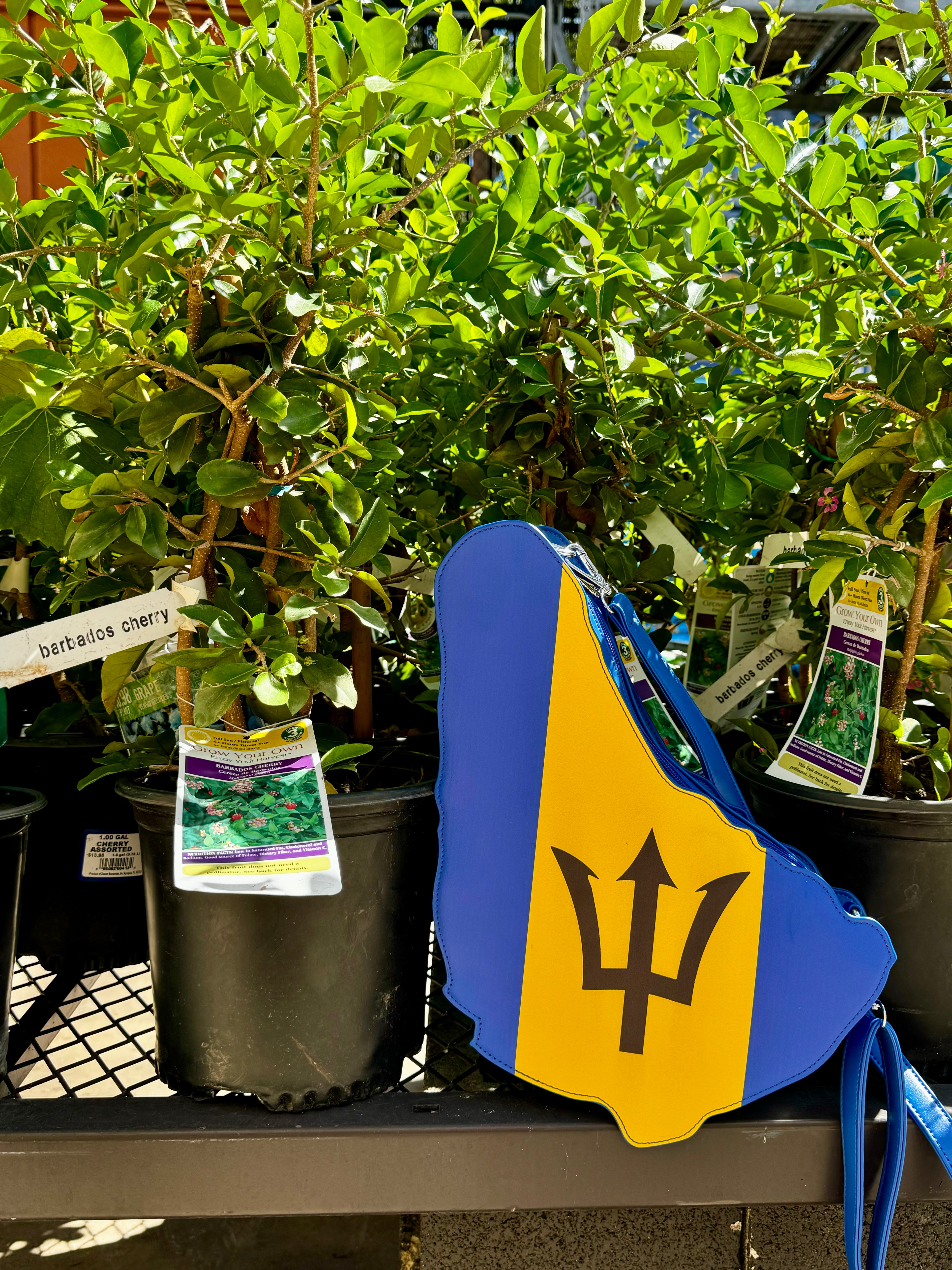 Barbados Flag Bag