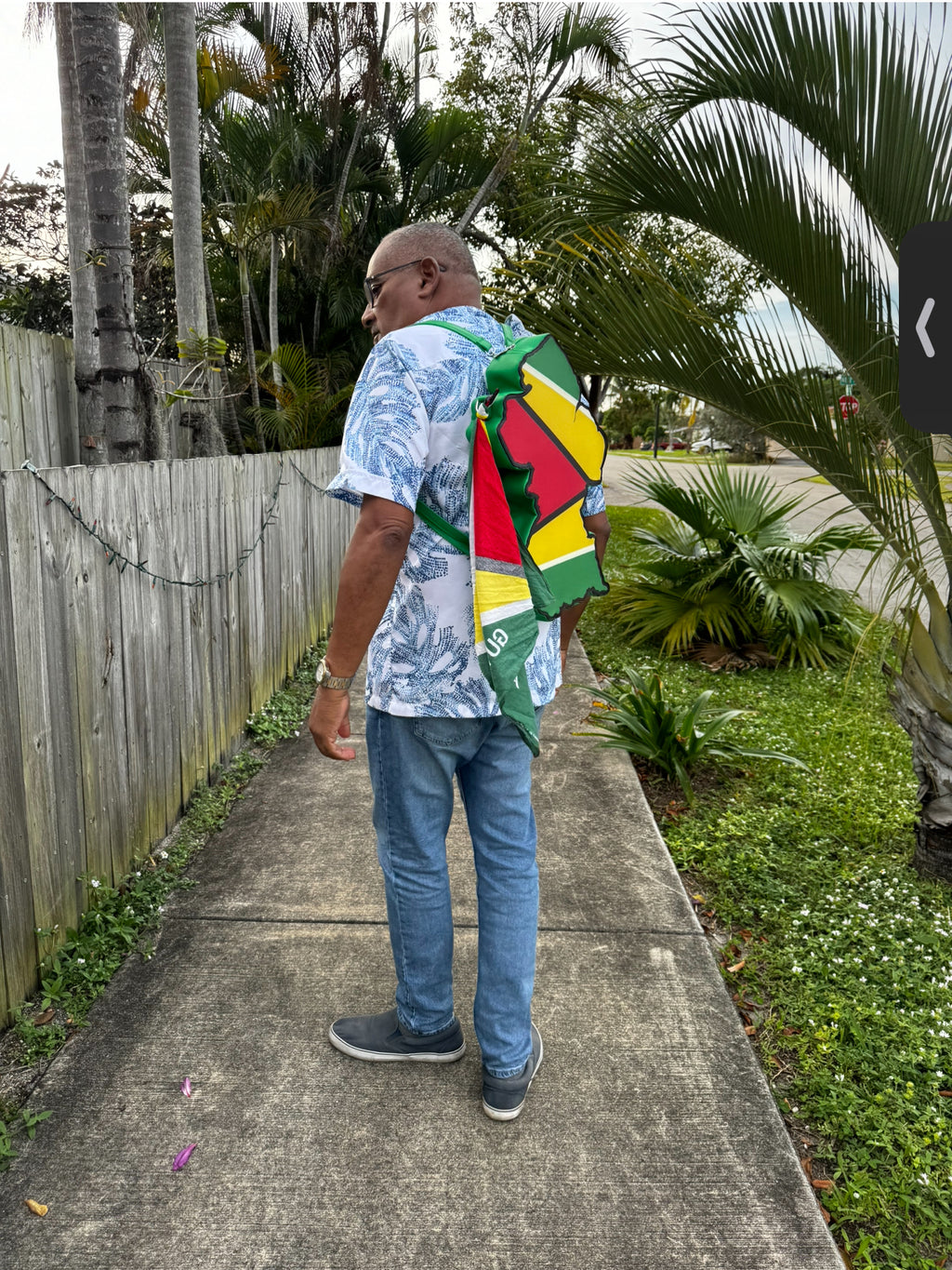 Guyana Flag Bag