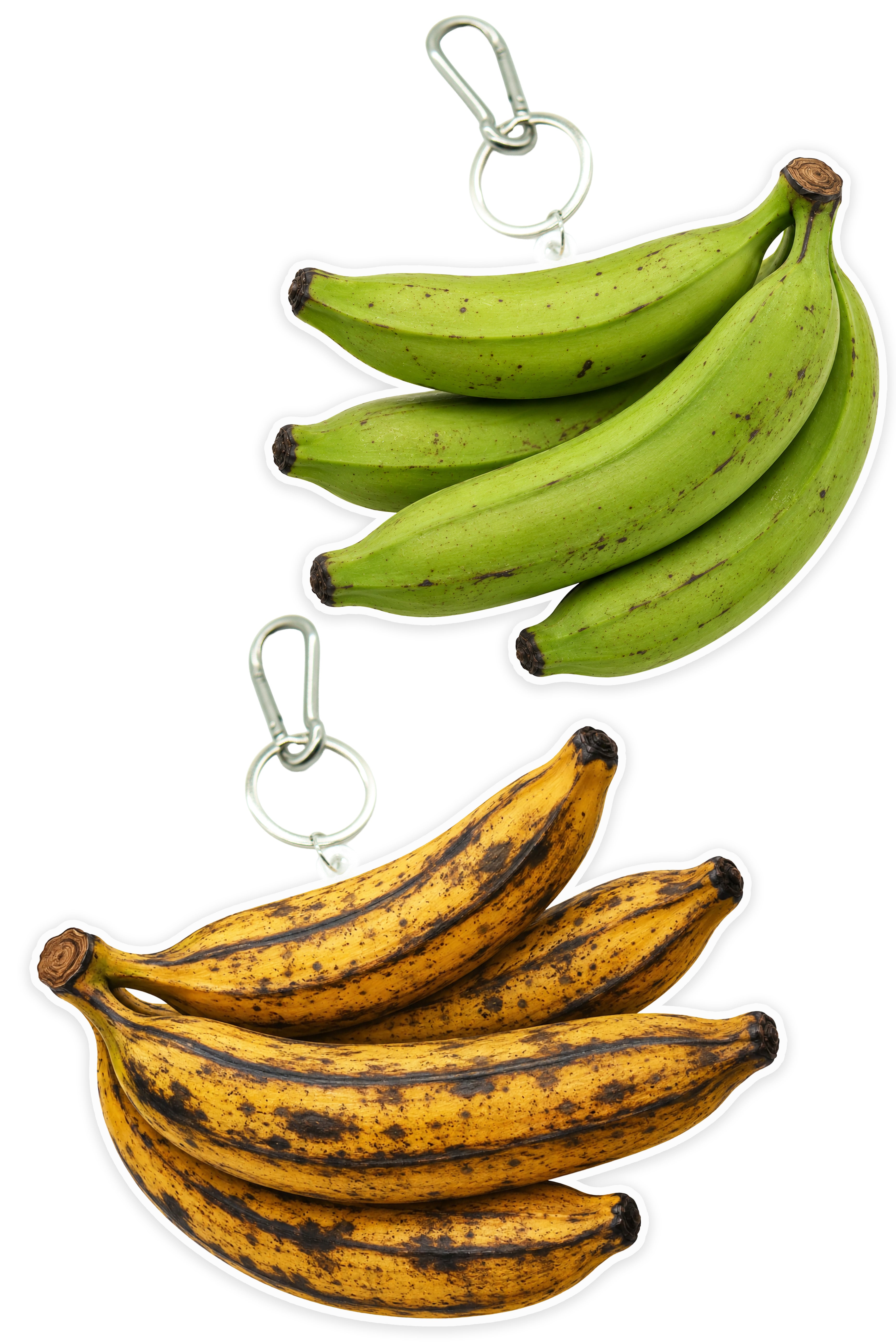 Plantain Bag Charm
